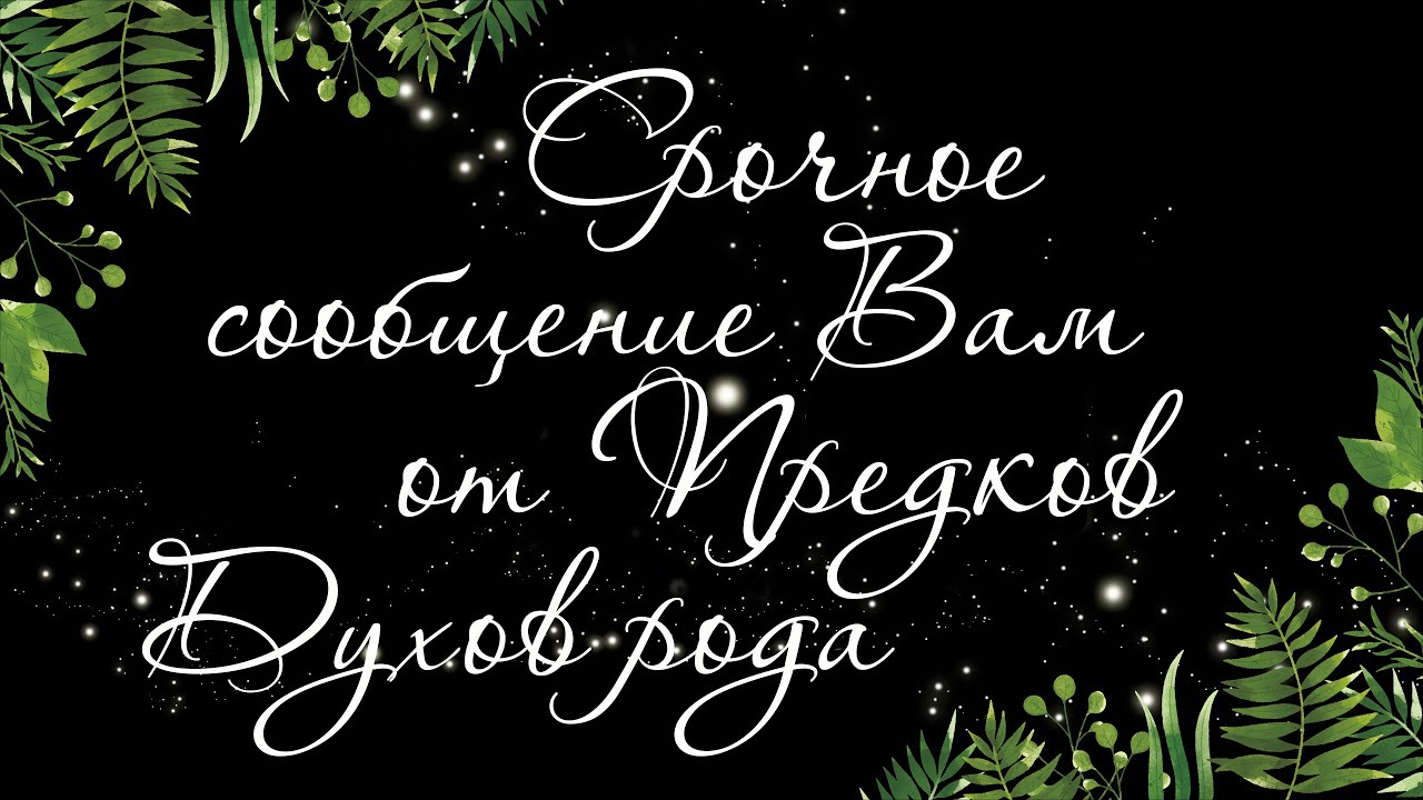 562 🍉 ПОДСКАЗКИ ПРЕДКОВ ДУХОВ ВАШЕГО РОДА И ВЫСШИХ СИЛ ЗДЕСЬ И СЕЙЧАС ДЛЯ ВАС | РАСКЛАД ТАРО ОНЛАЙН