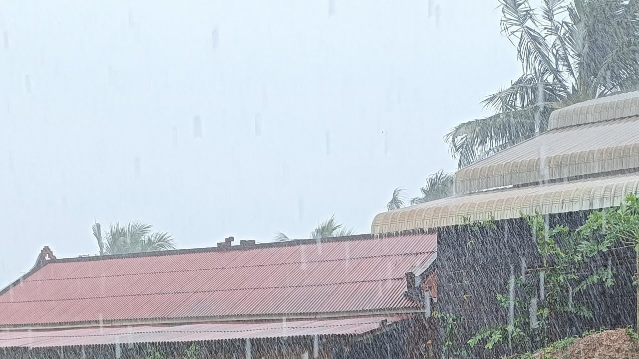 Whispers of Morning Rain 🌧️🍃🌄