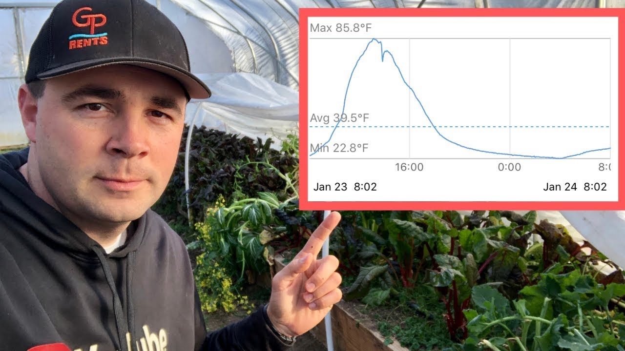 PROOF That Low Tunnels Actually Work!