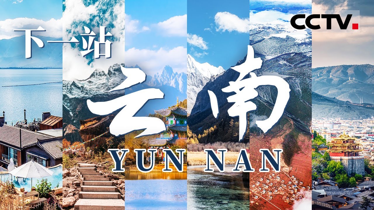 羡慕云南人！雪山花海美到极致 香格里拉仿若云外人间 一起去有风的地方！【CCTV纪录】