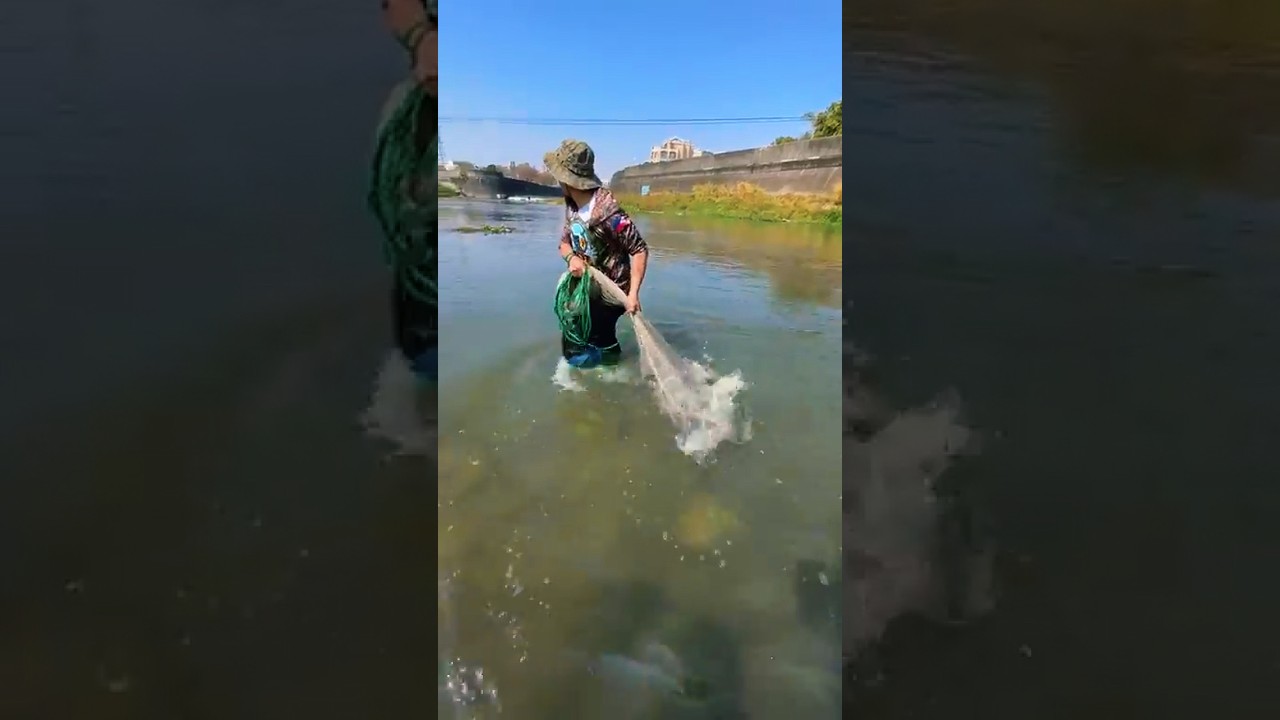 Top videos of traditional cast net fishing , amazing net fishing by throwing cast net Part 15