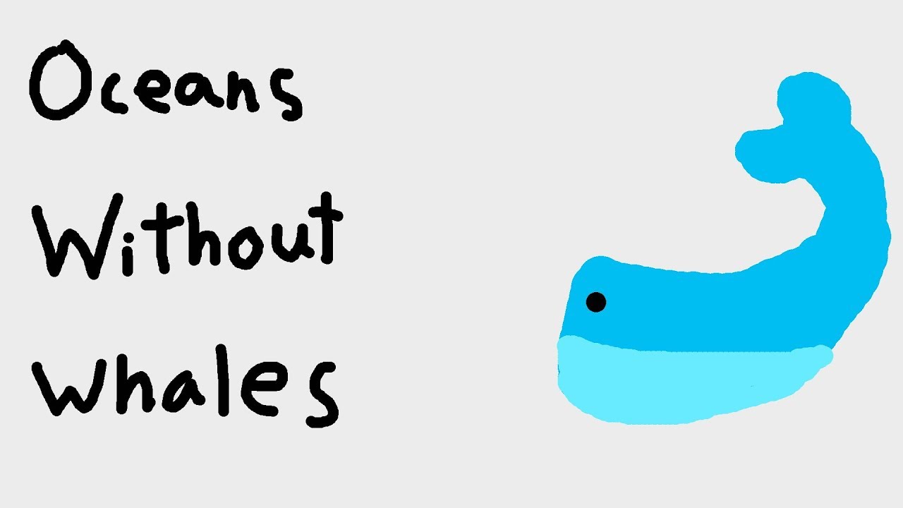 How Much Would the Sea Level Change if All of the Whales Disappeared?