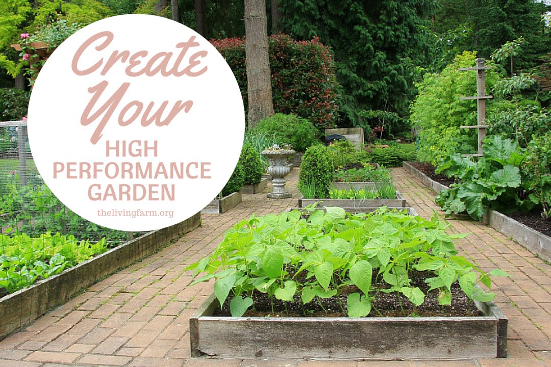 Create Your High Performance Garden