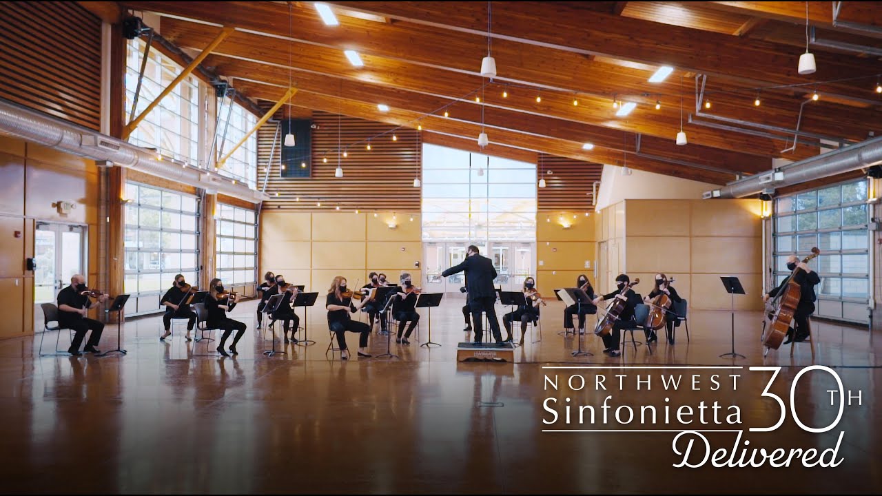 Dvořák: Moderato from Serenade for Strings, Op. 22