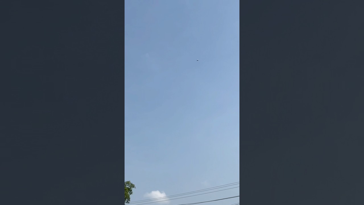 Merpati PRUMPUNG ngelip mantap 
