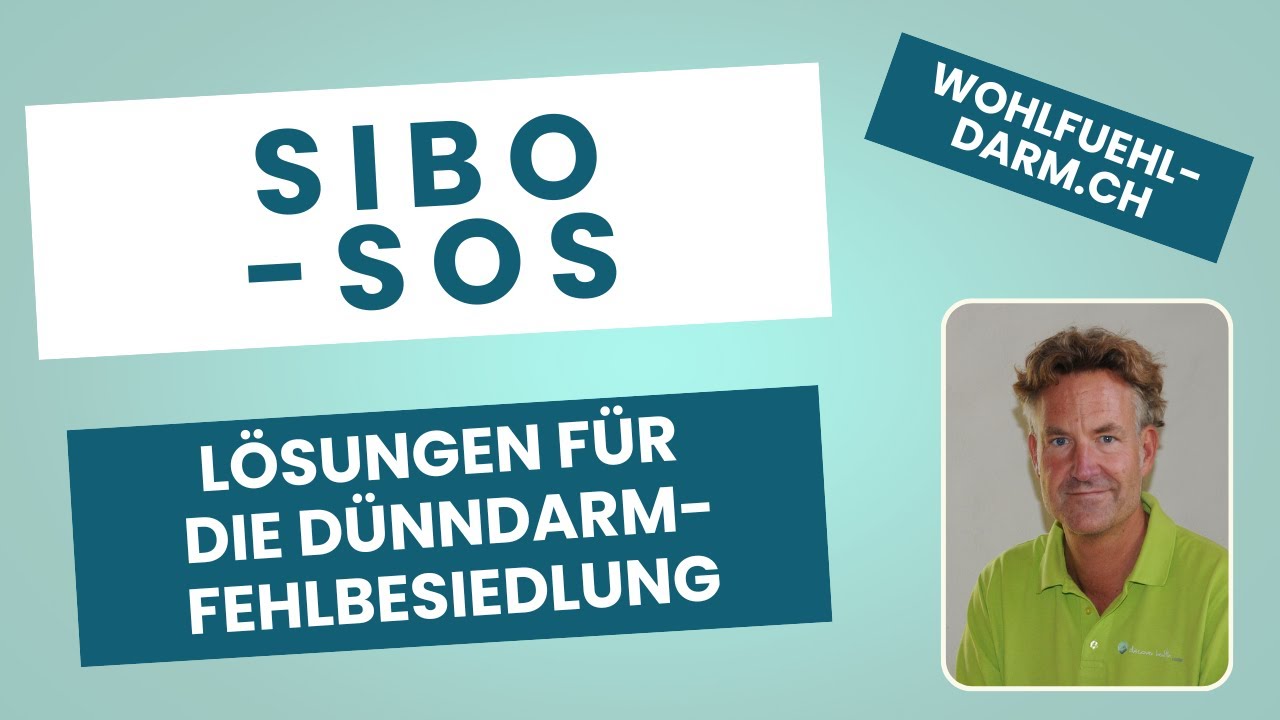 SIBO – Dünndarmfehlbesiedlung verstehen: Ursachen, Diagnose & nachhaltige LösungenI