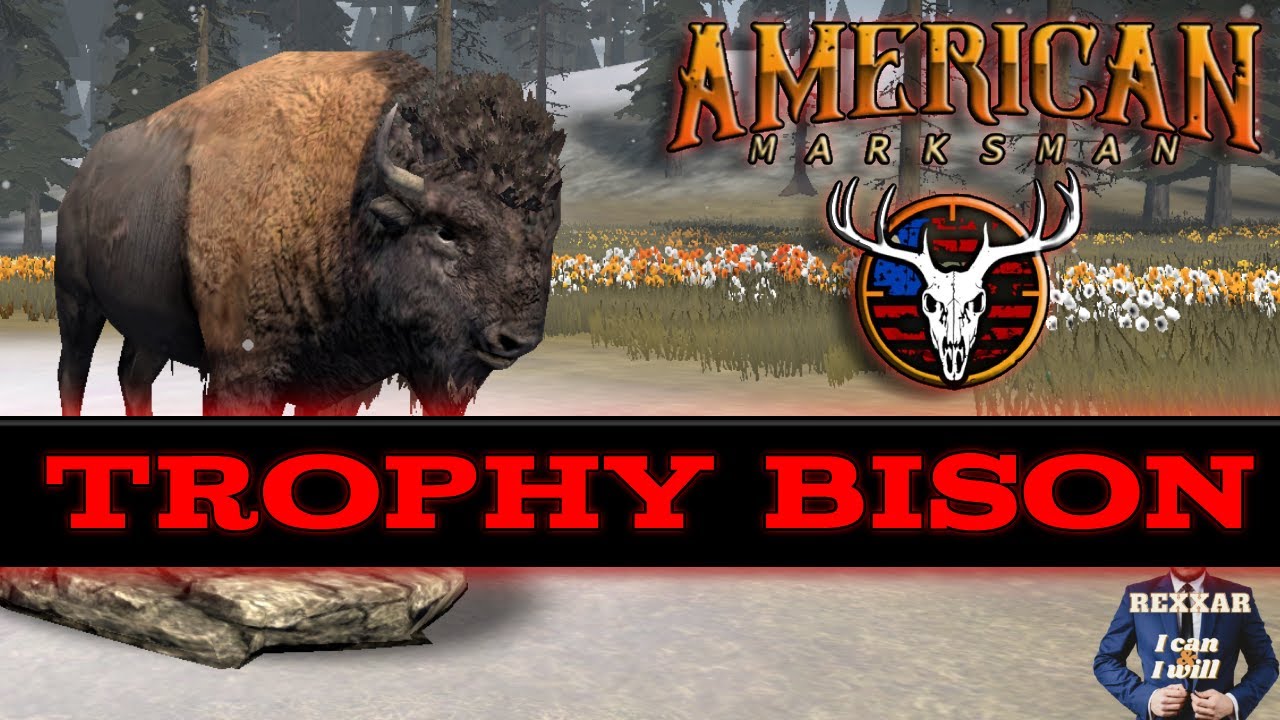 Trophy Bison in American Marksman
