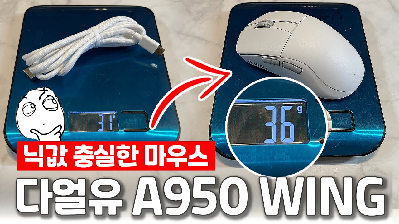 🖱️무선 8k + 실측 36g 초경량 게이밍 마우스?! 다얼유 A950WING