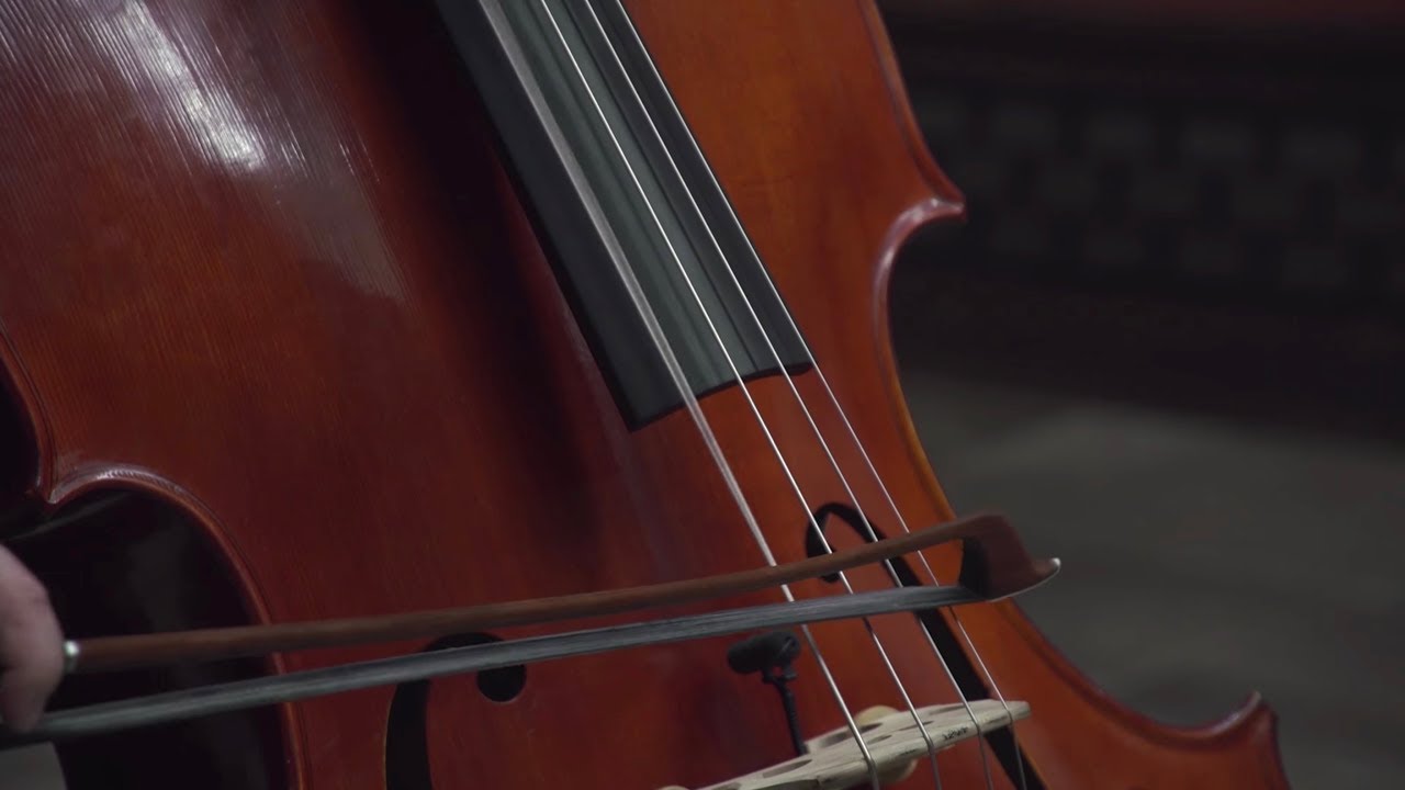 INCREDIBLE BASS SOUNDS