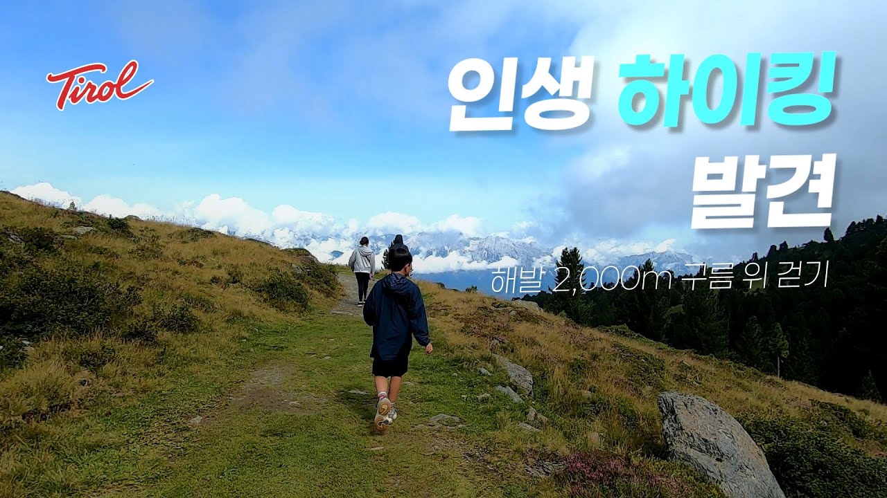 인생 하이킹 코스 발견! 🇦🇹 오스트리아 티롤 해발 2,000m 소나무길 걷기 (인스브루크 근교)