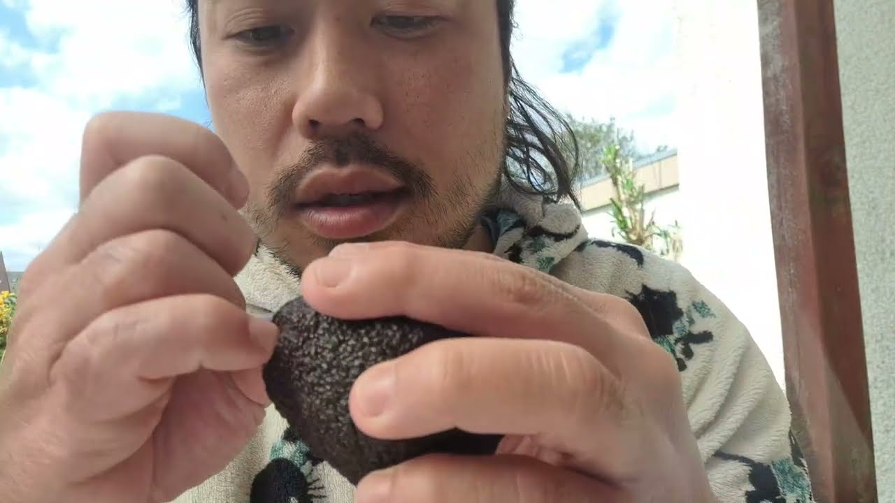 ASMR AVOCADO (EATING SOUNDS & AIR TRACING)