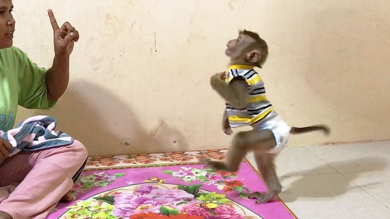 Little Jason Unique Dancing With Mom Singing Clap Hand Dance Together