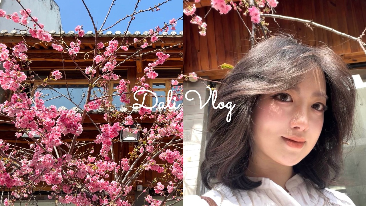 春日序曲｜我的大理慢生活日记  Spring Overture | My Slow Life in Dali Diary