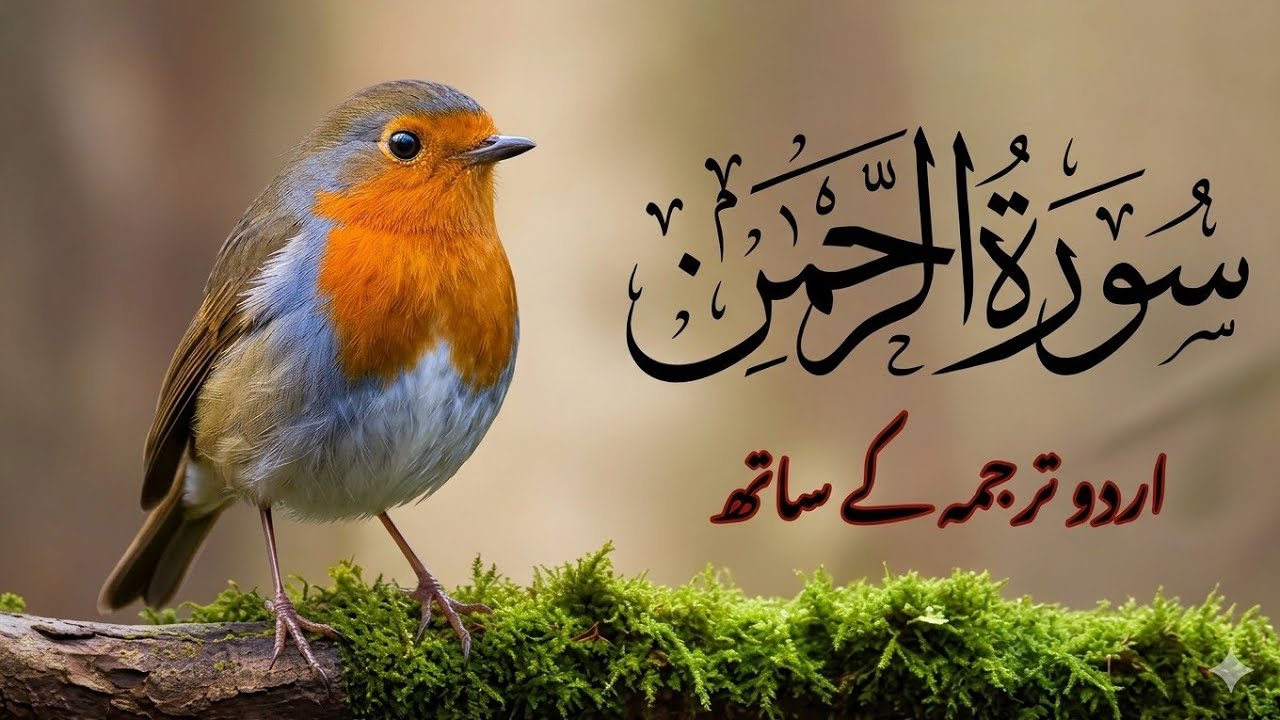 Surah Rahman Urdu Tarjuma k Sath | Qari Al Sheikh Abdul Basit Abdul Samad | MMK Quran Tv Epi 00002