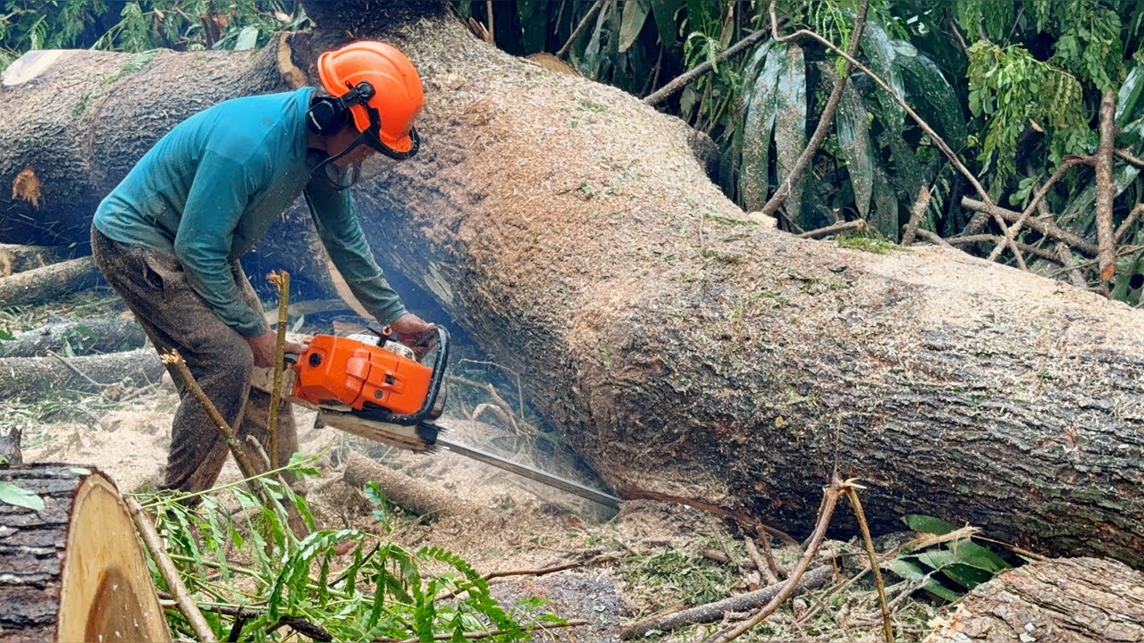 All machines have problems, this logging feels heavy!