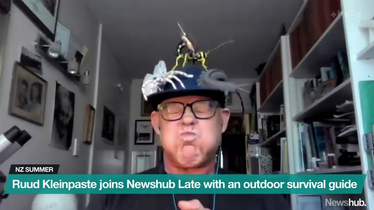 A survivors guide to summer with the bug man, Ruud Kleinpaste | Newshub