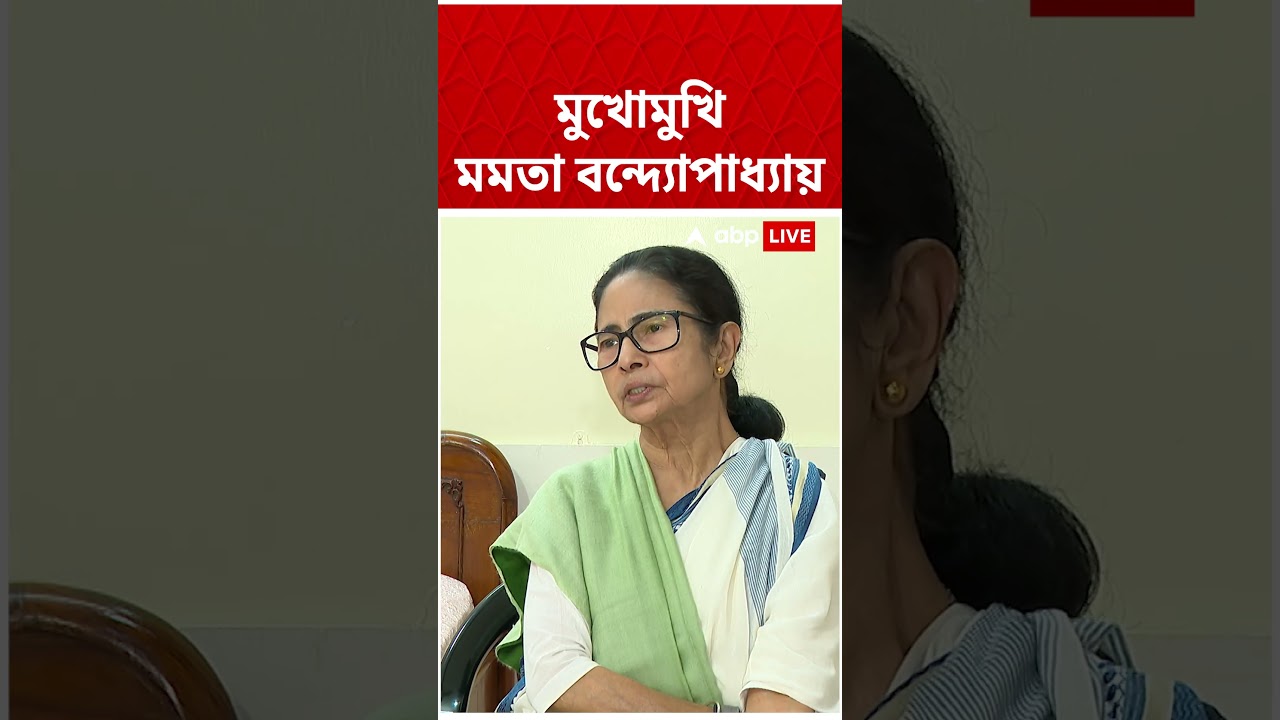 'তিন-চার বার বন্দুক, রড নিয়ে বাড়িতে এসেছে...', কী মন্তব্য মমতা বন্দ্যোপাধ্যায়ের ?