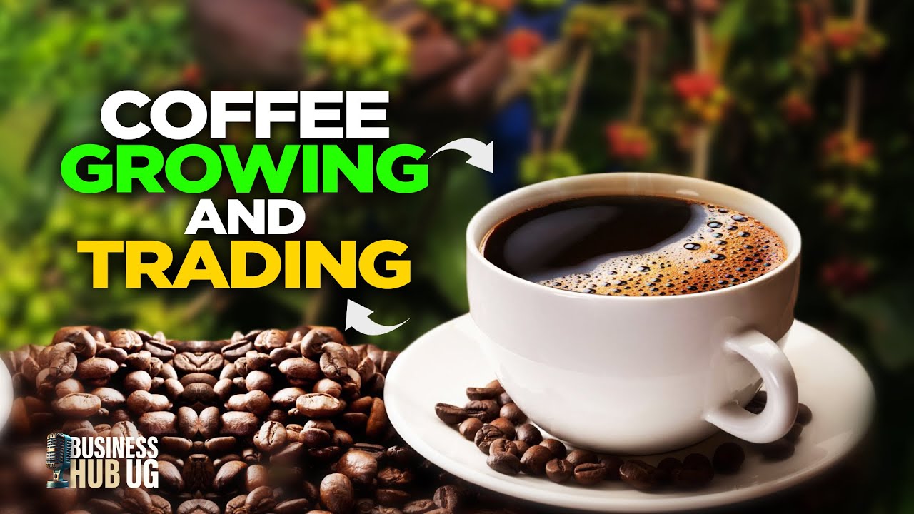 Make millions of dollars from coffee: How to Grow, add Value, Export- Joseph Nkandu CEO of NUCAFE