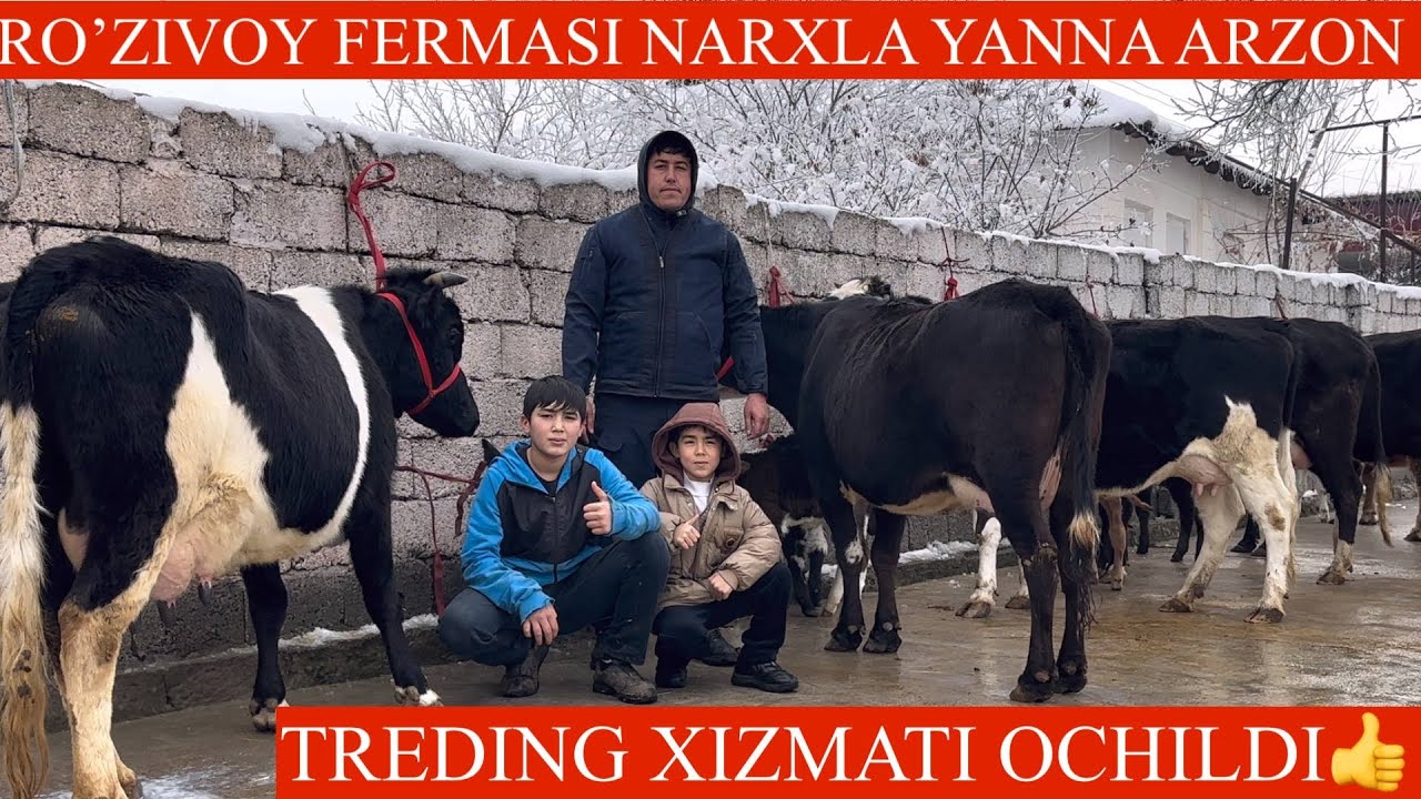 ROʻZIVOY😳F💥NARXLAR JUDA ARZONDA✊YANGI P ONA BOLA UDAR SGIRLAR DAN KELDI TUGAP QOLMASIN🏃