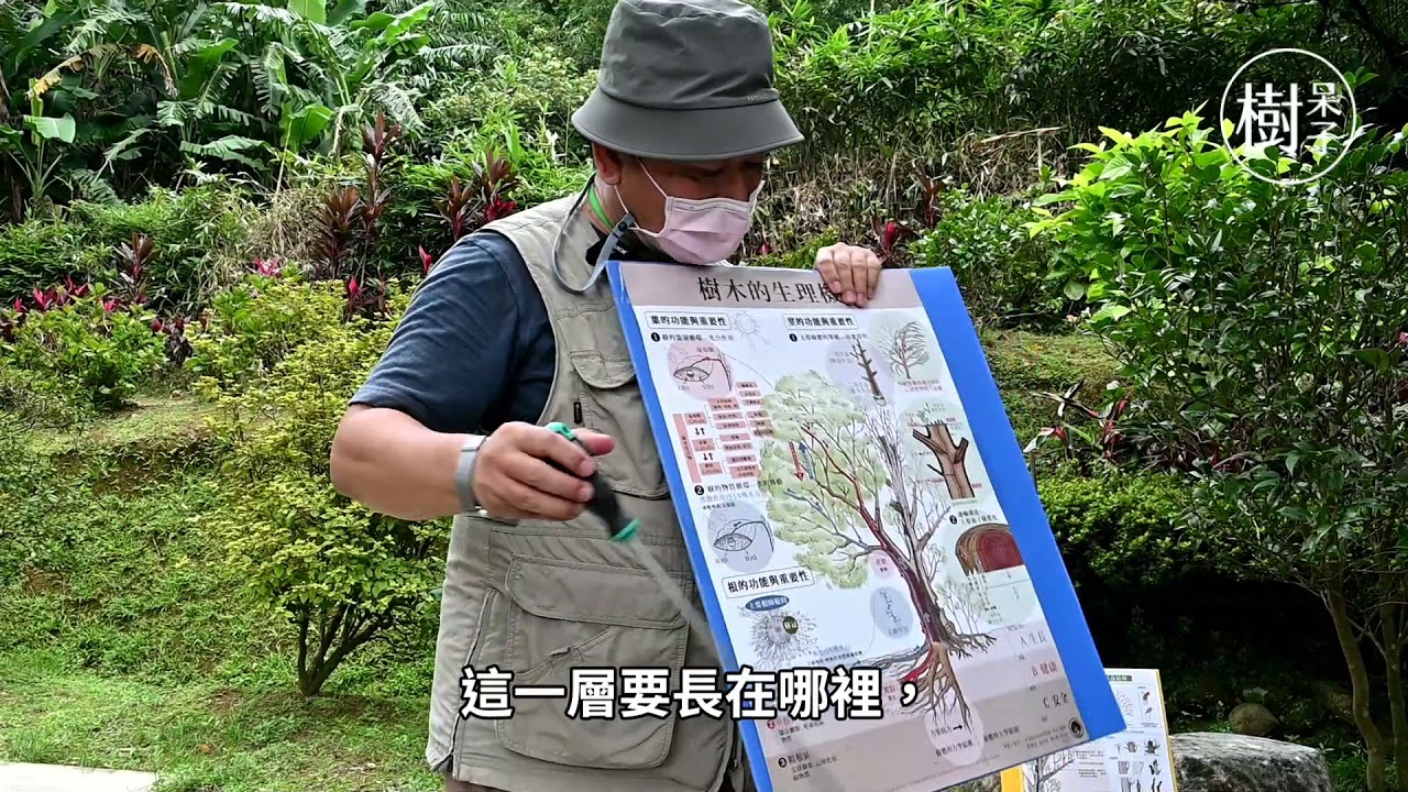 【樹呆子小學堂】瞭解樹，是愛樹的第一步！
