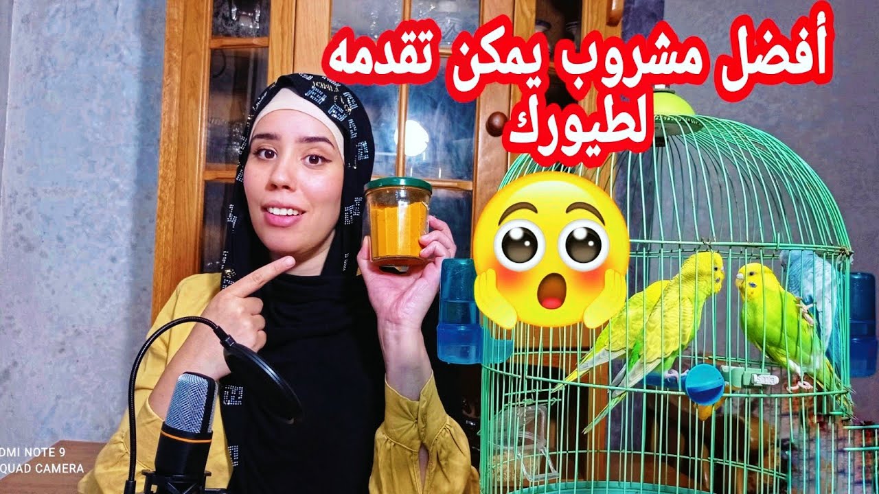 فوائد الكركم العجيبة في التجهيز والتحفيز الطيور على التزاوج والعلاج والوقاية من المراض