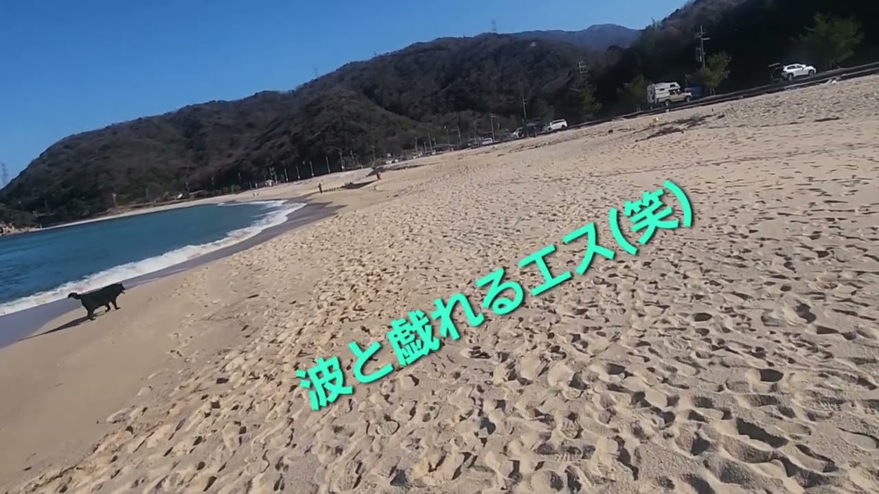 2026年2月22日
