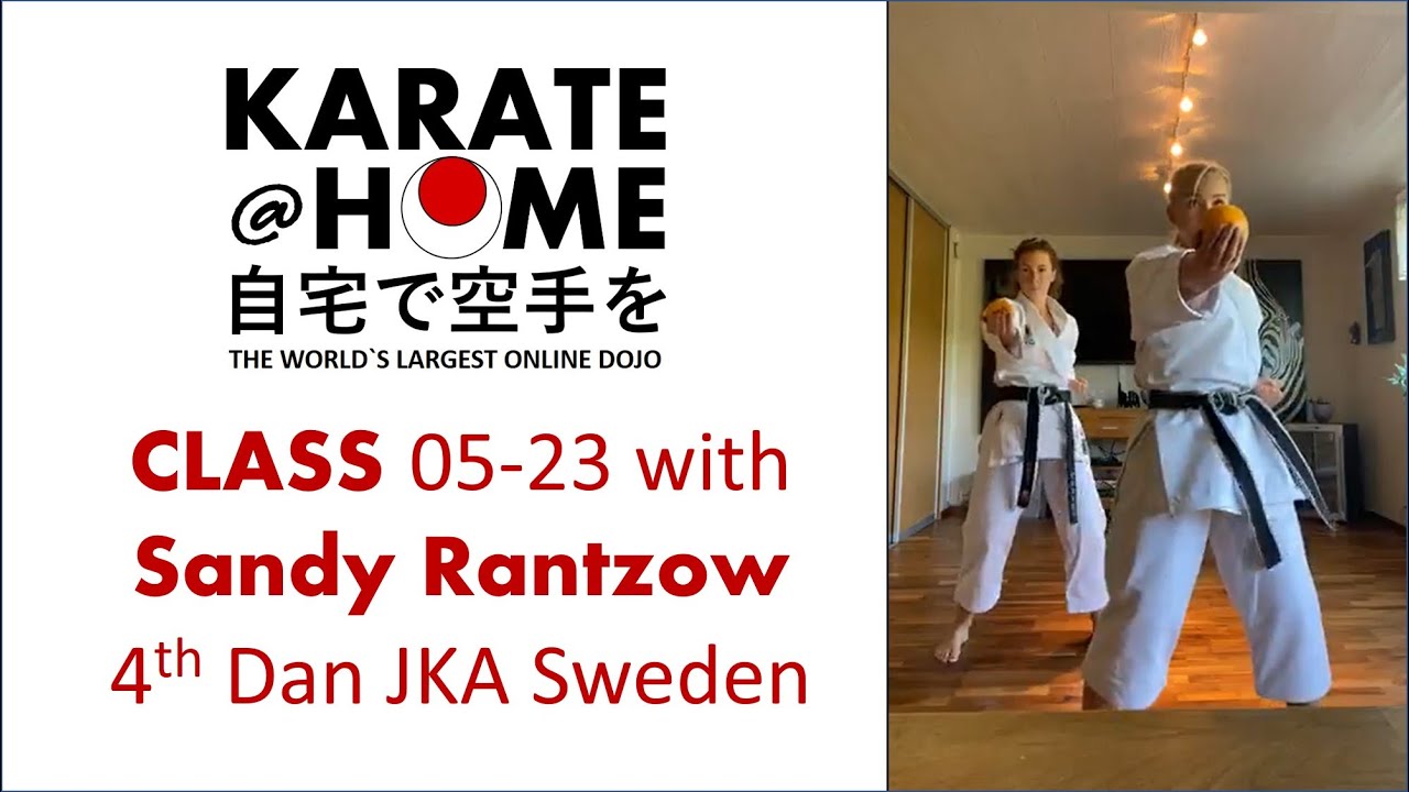Karate@Home class 05 23 with Sandy Rantzow