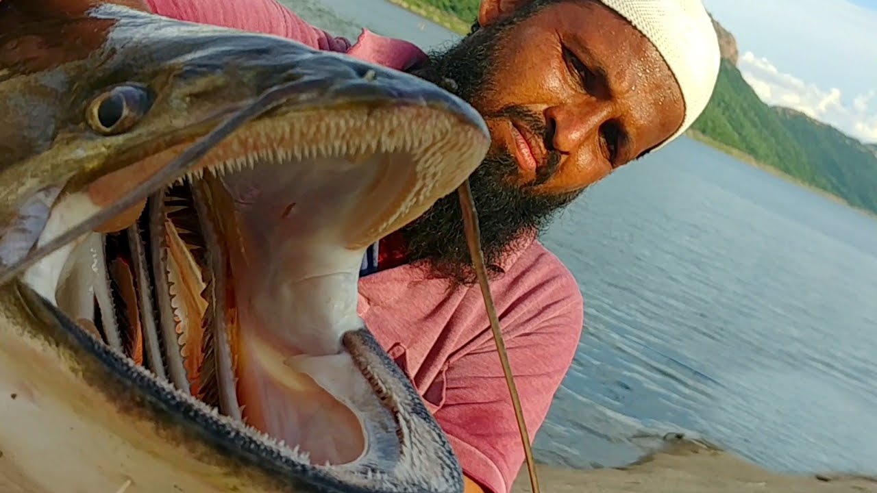 Amazing Fish Catching||Patan Fish Hunting||wallago Fishing||Unique FISHING||Krishna River Fishing