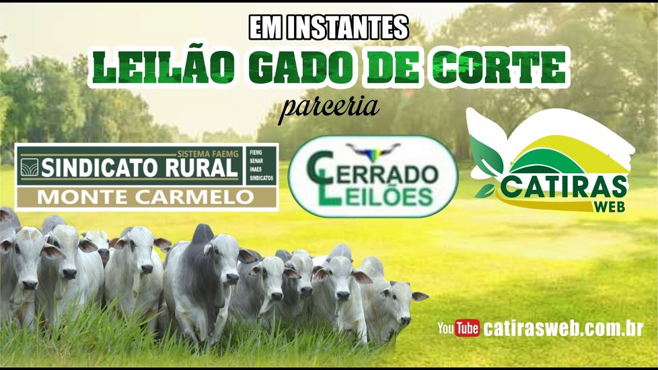 LEILÃO AO VIVO CERRADO LEILÕES E SINDICATO RURAL DE MONTE CARMELO - MG -  18 DE MARÇO DE 2026.