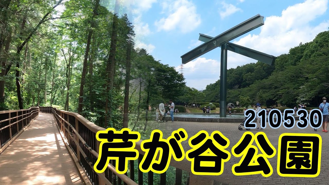 芹ヶ谷公園 (美術館、噴水、アスレチック、広間で楽しめる！)
