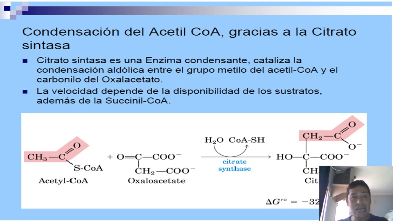 Ciclo de Kepres wilmer Pedraza R
