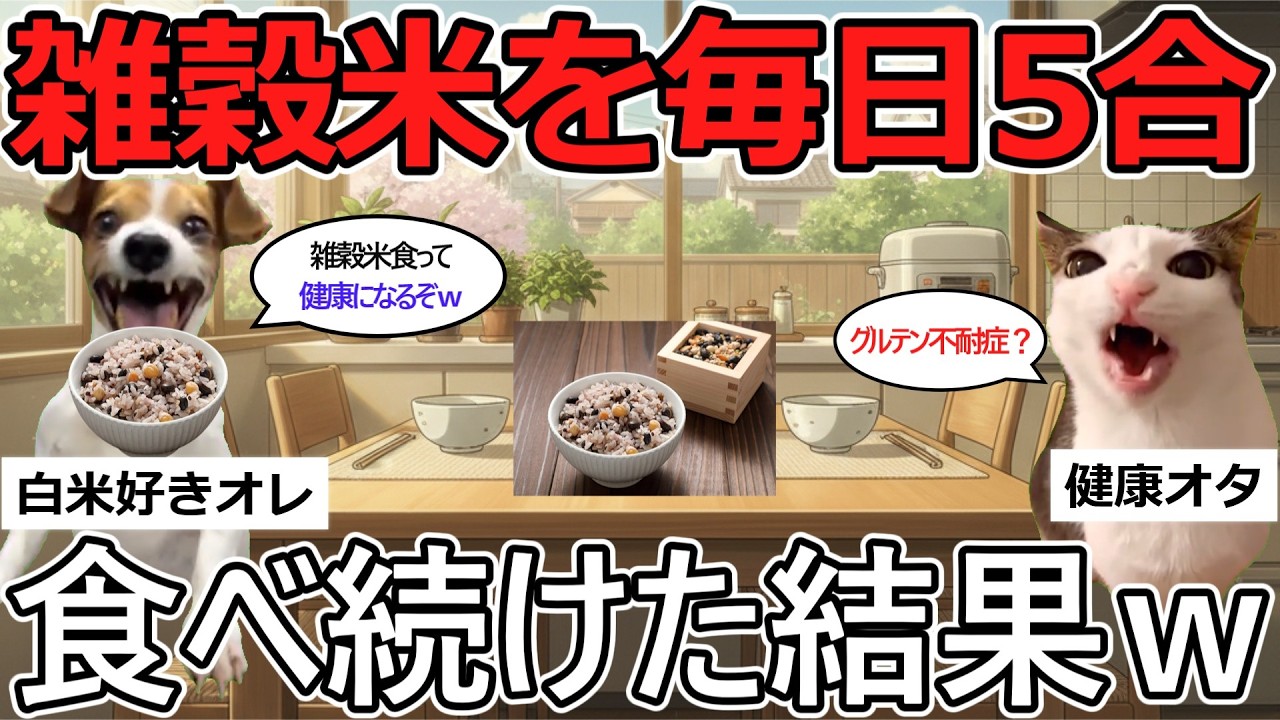 【猫ミーム】白米を捨てた男！雑穀米を毎日食べ続けた結果ｗｗ裏切られて元サヤへ【2chまとめ】