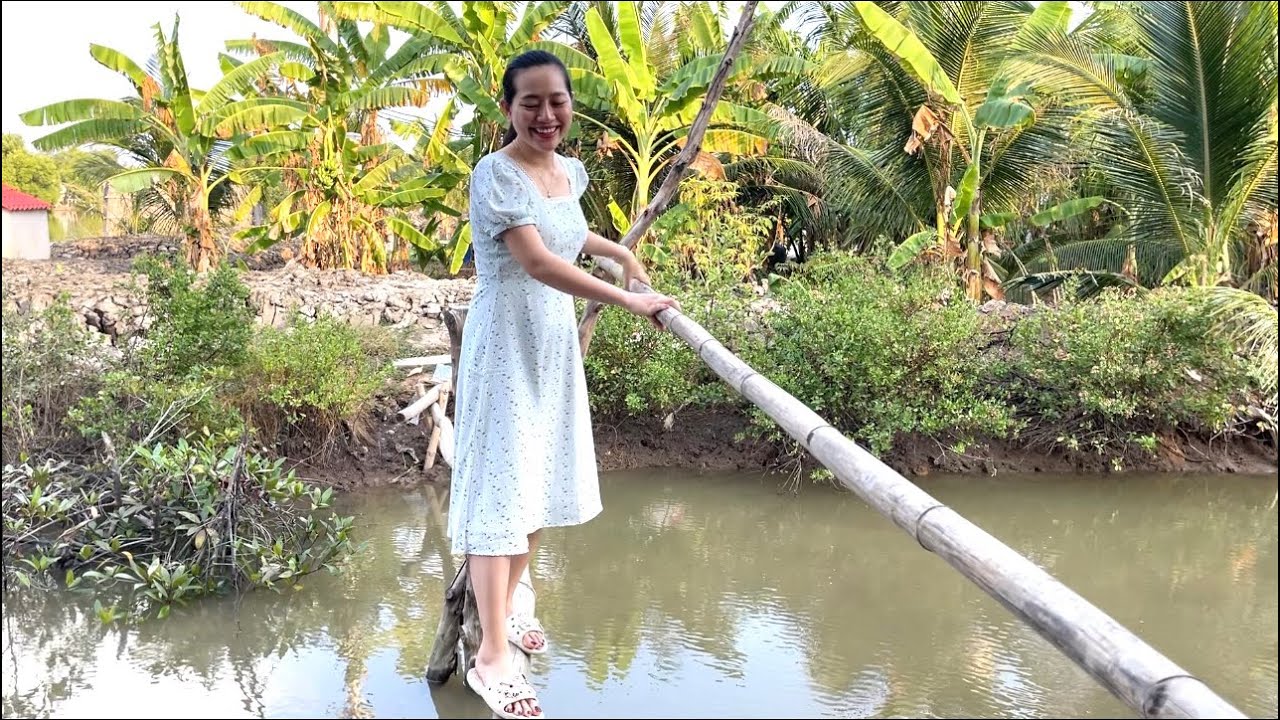 Cuộc sống quê nhà| ÁNH KUA