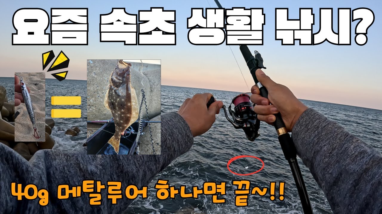 40g 메탈 하나로 생활 낚시 하러 속초 가자!!