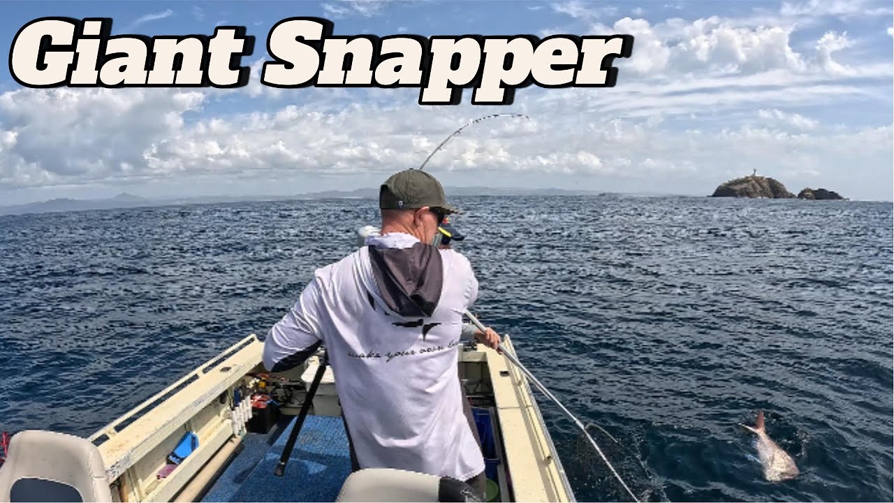 Giant Snapper!