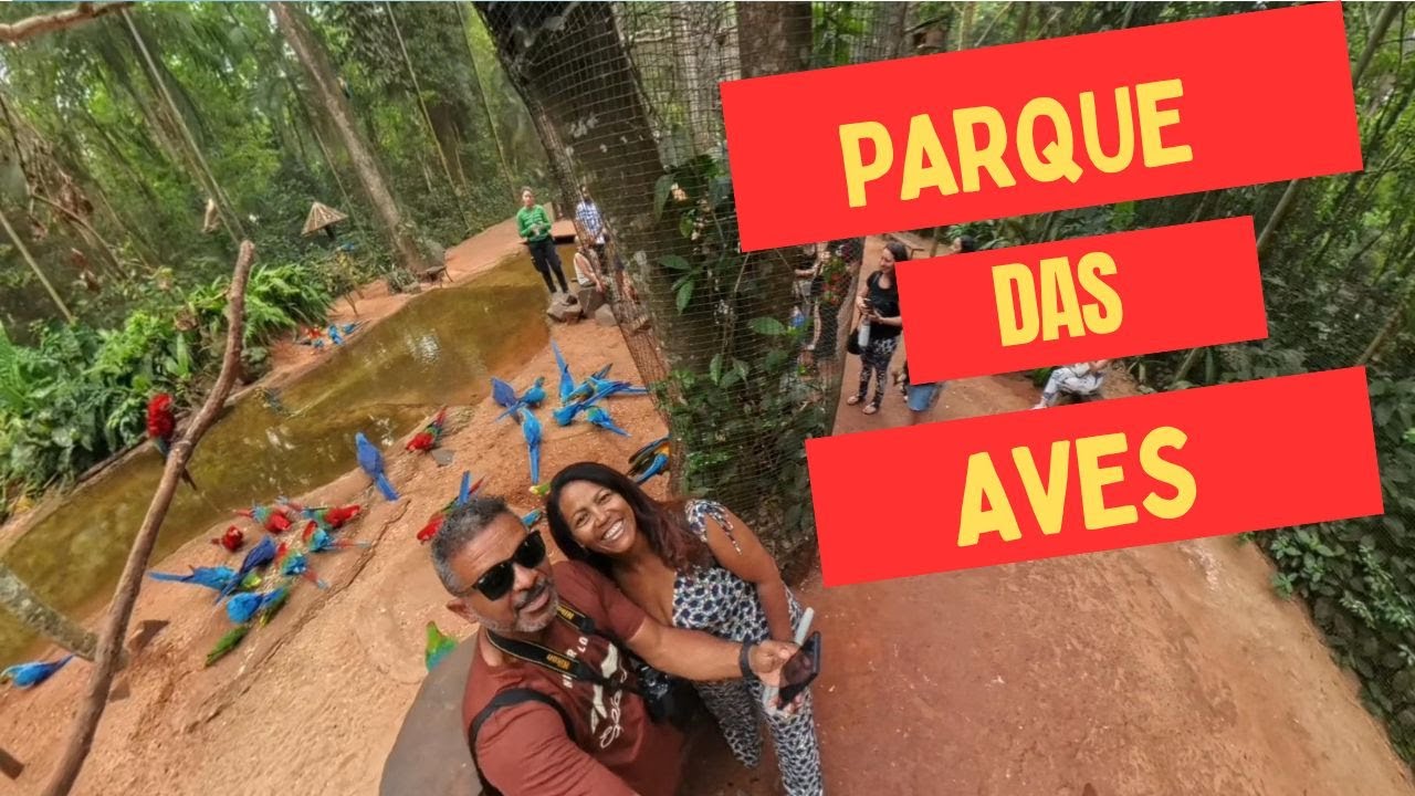 UM TOUR 360 NO PARQUE DAS AVES EM FOZ DO IGUAÇU
