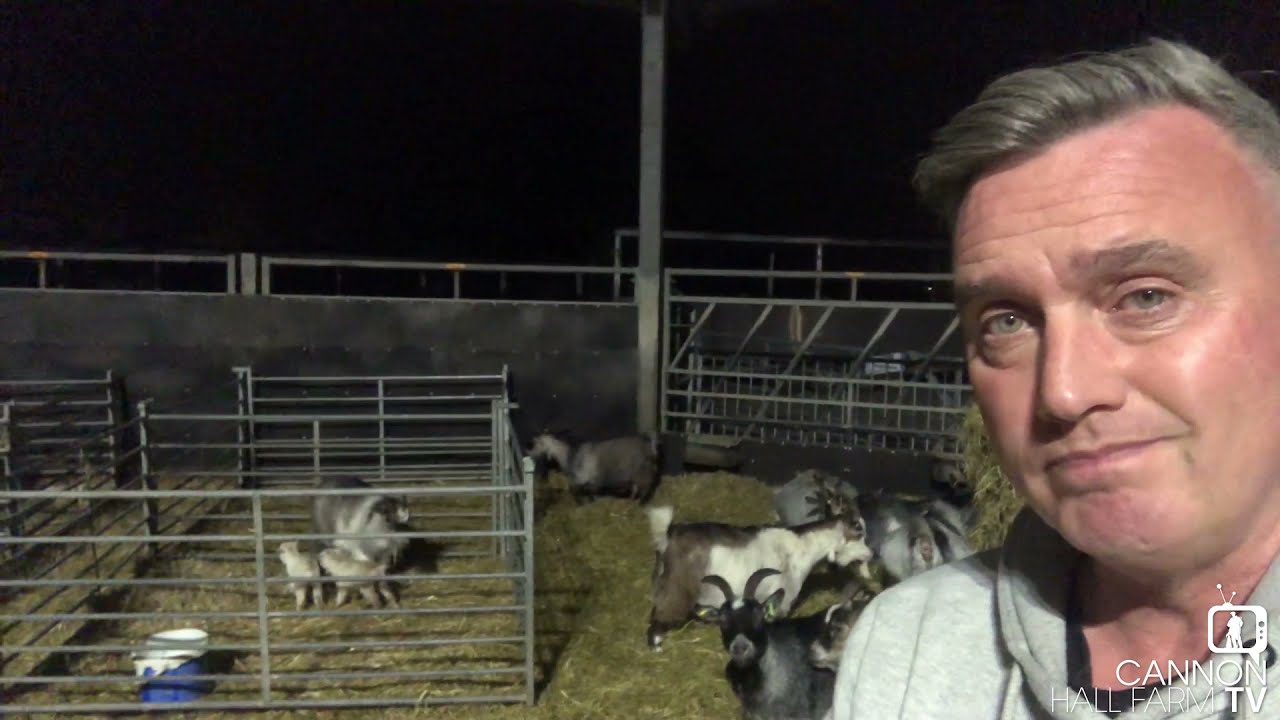 Farmer Dave night shift - Cannon Hall Farm