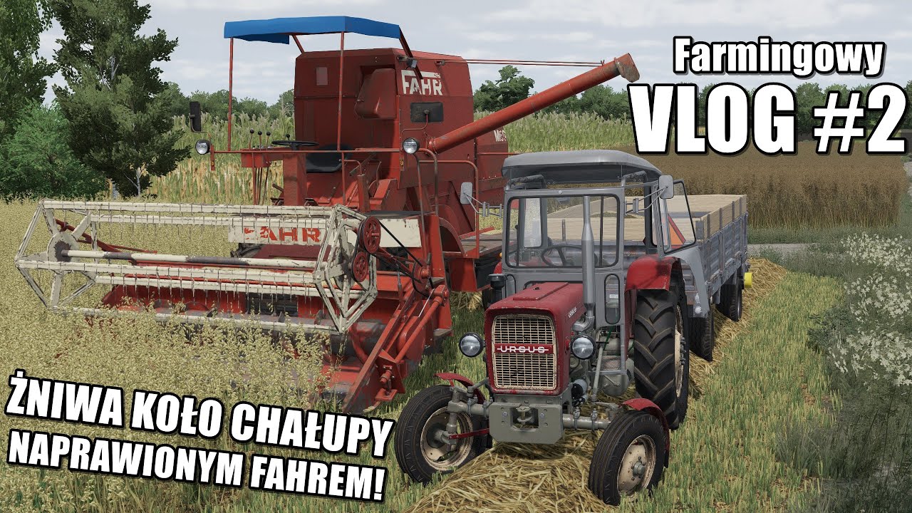 Żniwa pól koło chałupy, zgrzytająca skrzynia 😎 Farmingowy Vlog [#2] 😇 Przygody Dziada Józefa