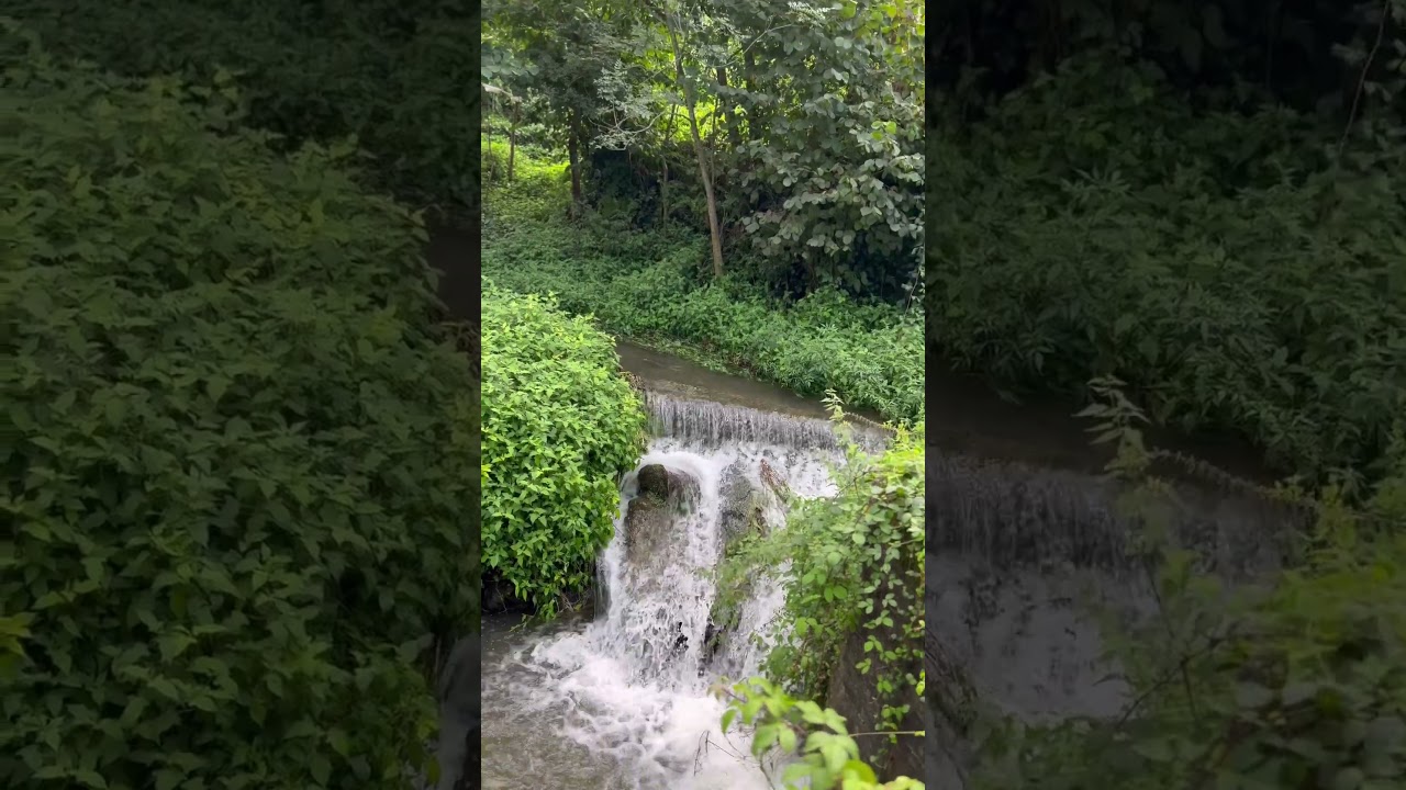 Dere Sesleri İle Rize..                    #dere #doğa #doğalyaşam #nature #karadeniz #rize #huzur