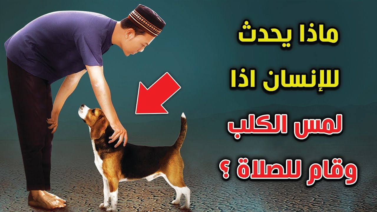ماذا يحدث للإنسان اذا لمس الكلب وقام للصلاة .. ماذا يفعل الله به ؟ إجابة ستصدمك