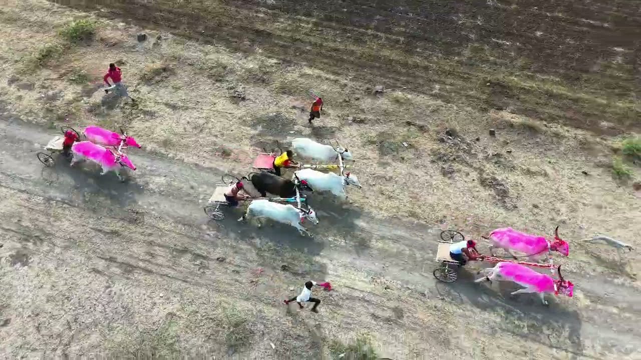 कलोती यात्रा 11 हाजार जनरल अ गट बैलगाडी शर्यत 🥇 बाळू दादा हजारे 🥈 रमेश नाना खोत🥉