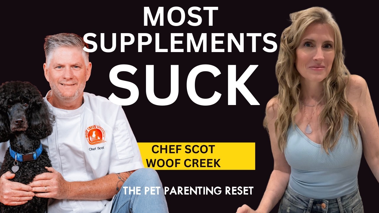 Most Dog Supplements Are Useless… Here’s What Actually Helps