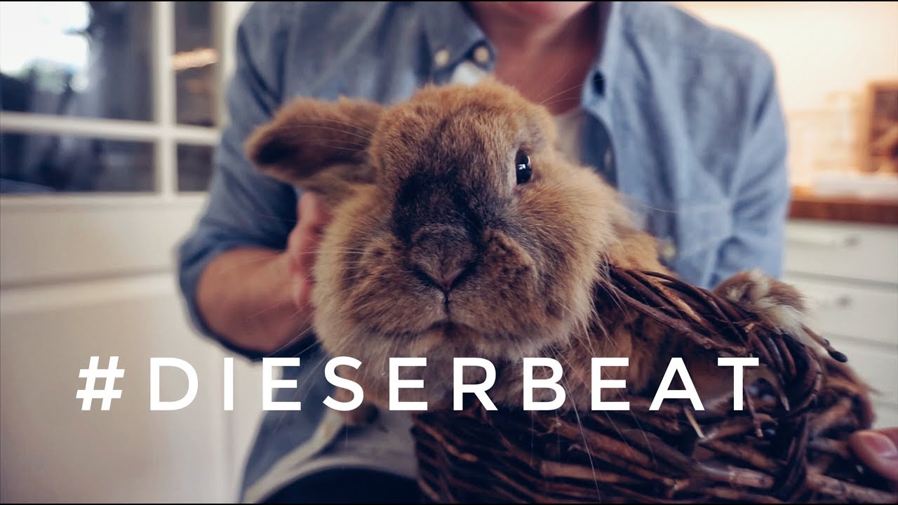 Mein 2. Album #M&Ouml;WENGOLD jetzt vorbestellen! | Vincent Gross