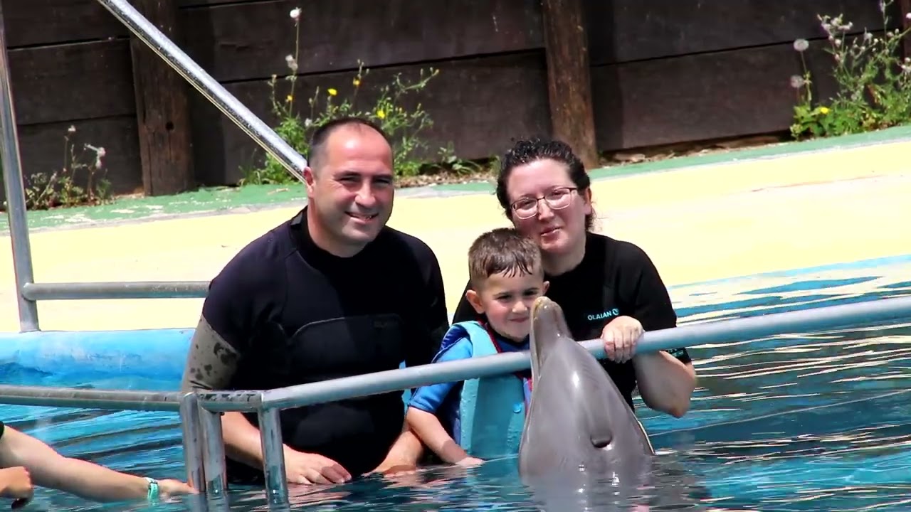 Selwo Marina encuentro con delfines