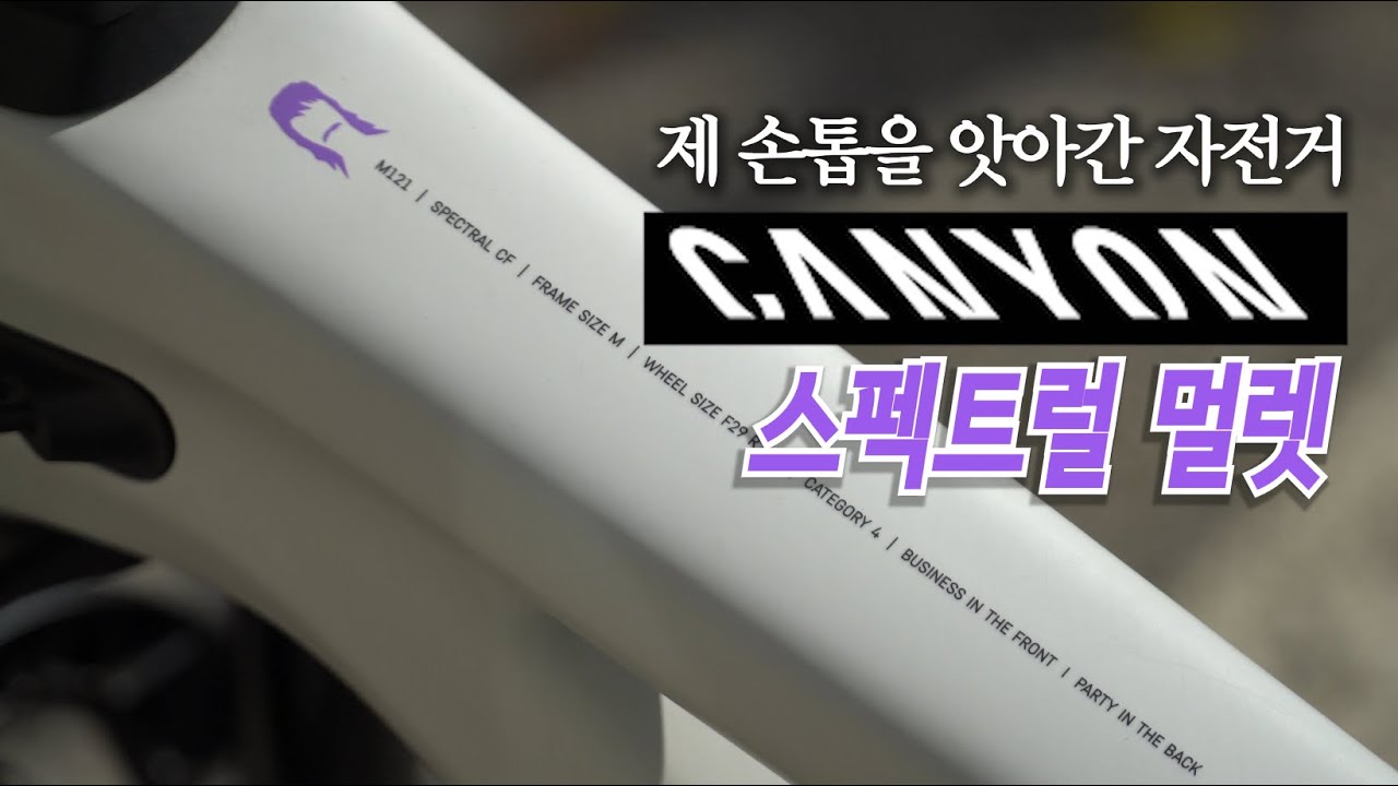 2022년 캐니언-스펙트럴 멀렛_얘 때문에 2주 입원 함...
