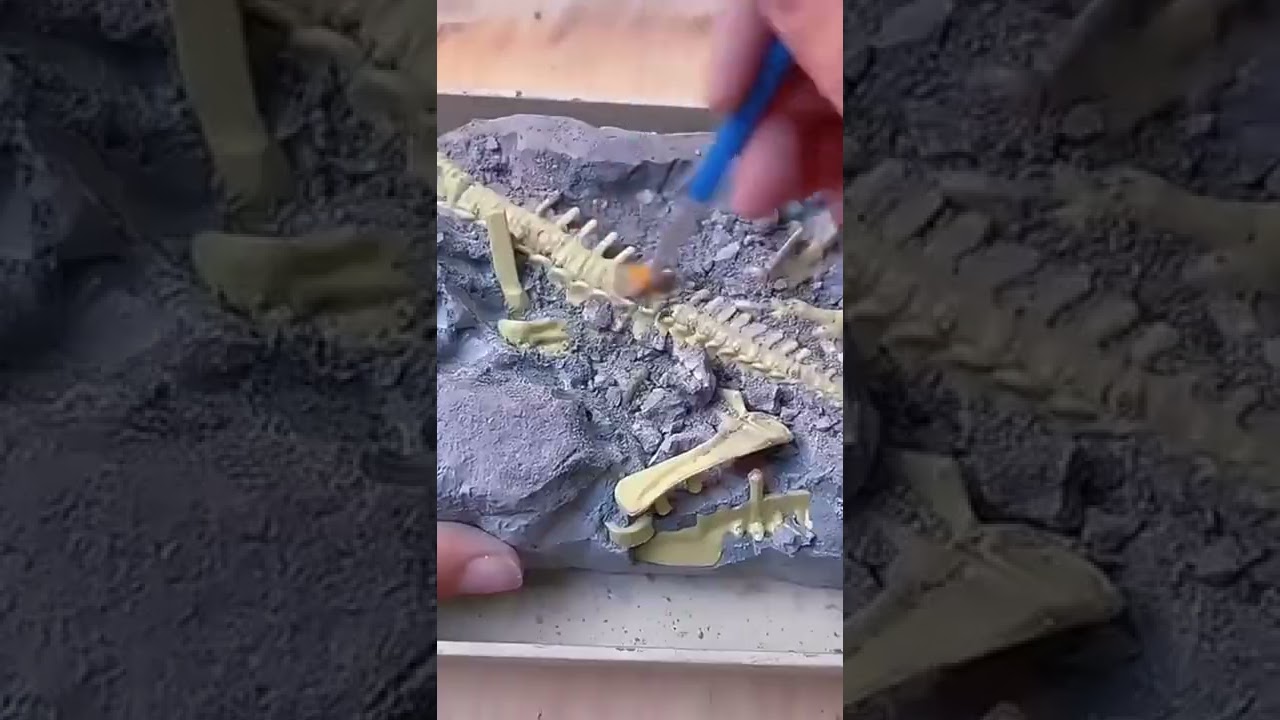 Dinosaur Fossil Digging Kit