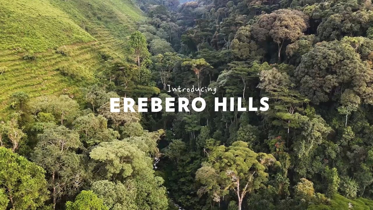 The Erebero Hills Story: The Next Chapter | Asilia Africa