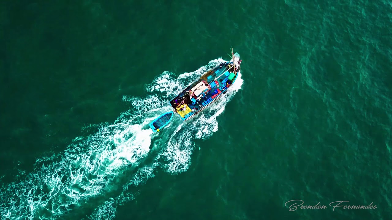 Nature around shore...| Explore Goa| Goa beach| Travel Goa.