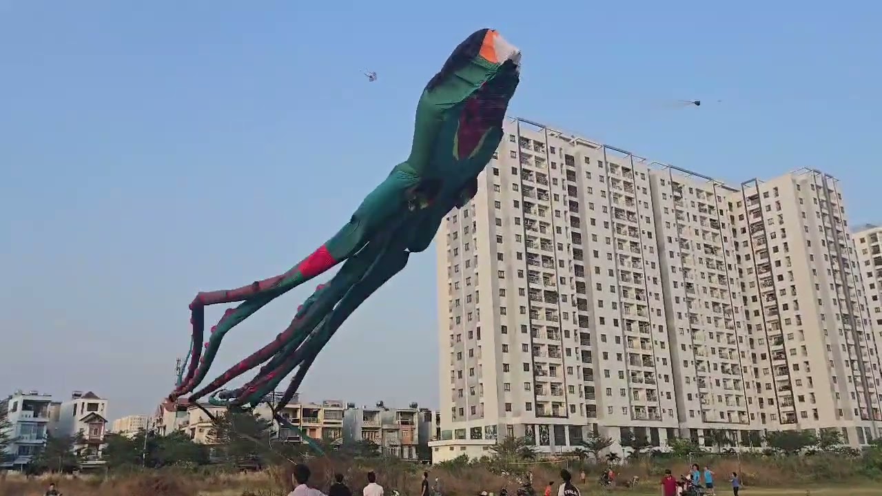 Bạch tuộc to khủng nhất bãi diều 