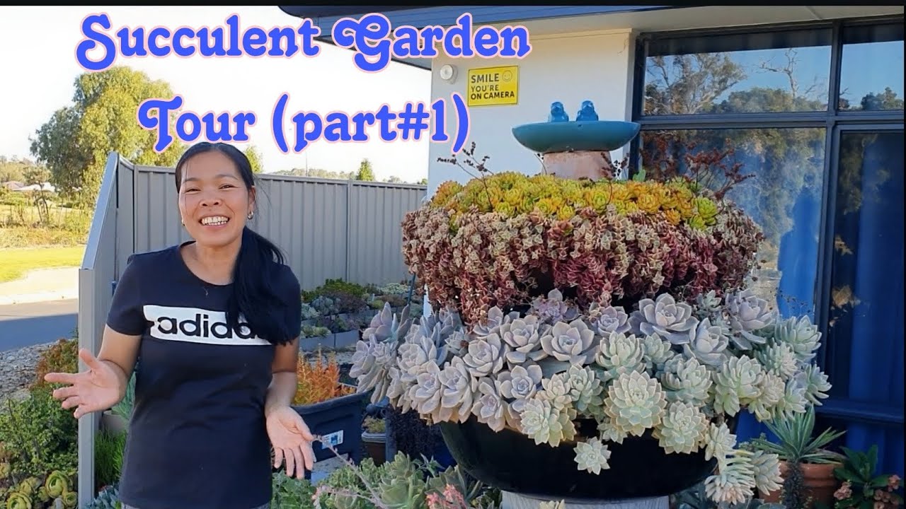 My Succulent Garden Tour (part#1)